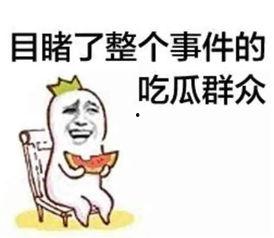 娱乐之星吃瓜群众是谁啊