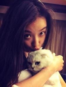 娱乐吃瓜君网红虐猫是谁,娱乐吃瓜君揭露虐猫网红真相